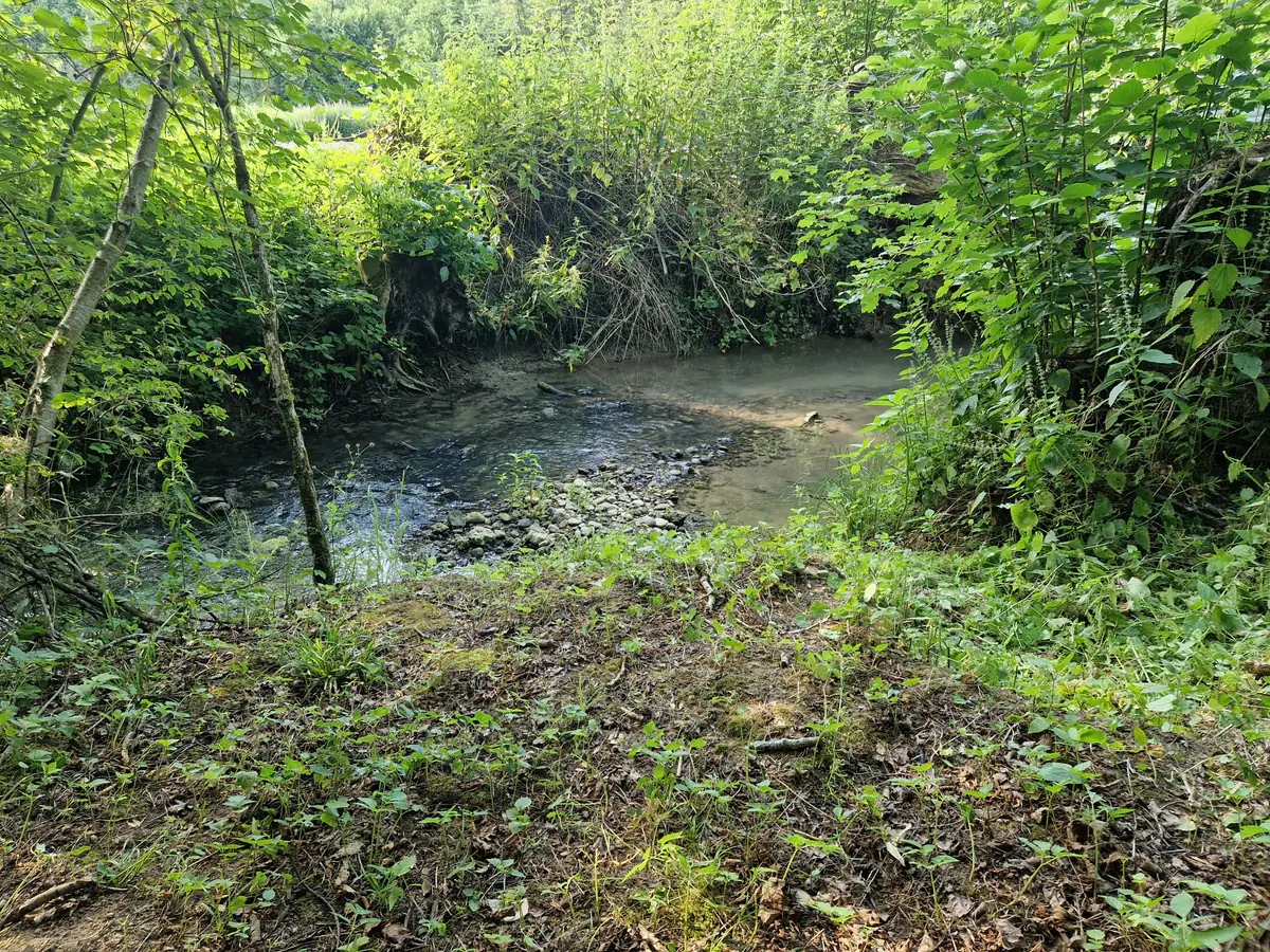 Flacher Bach mit Kiesbank an der Wasserstelle des Dogrelation Trainingsgeländes in Steyr-Wolfern