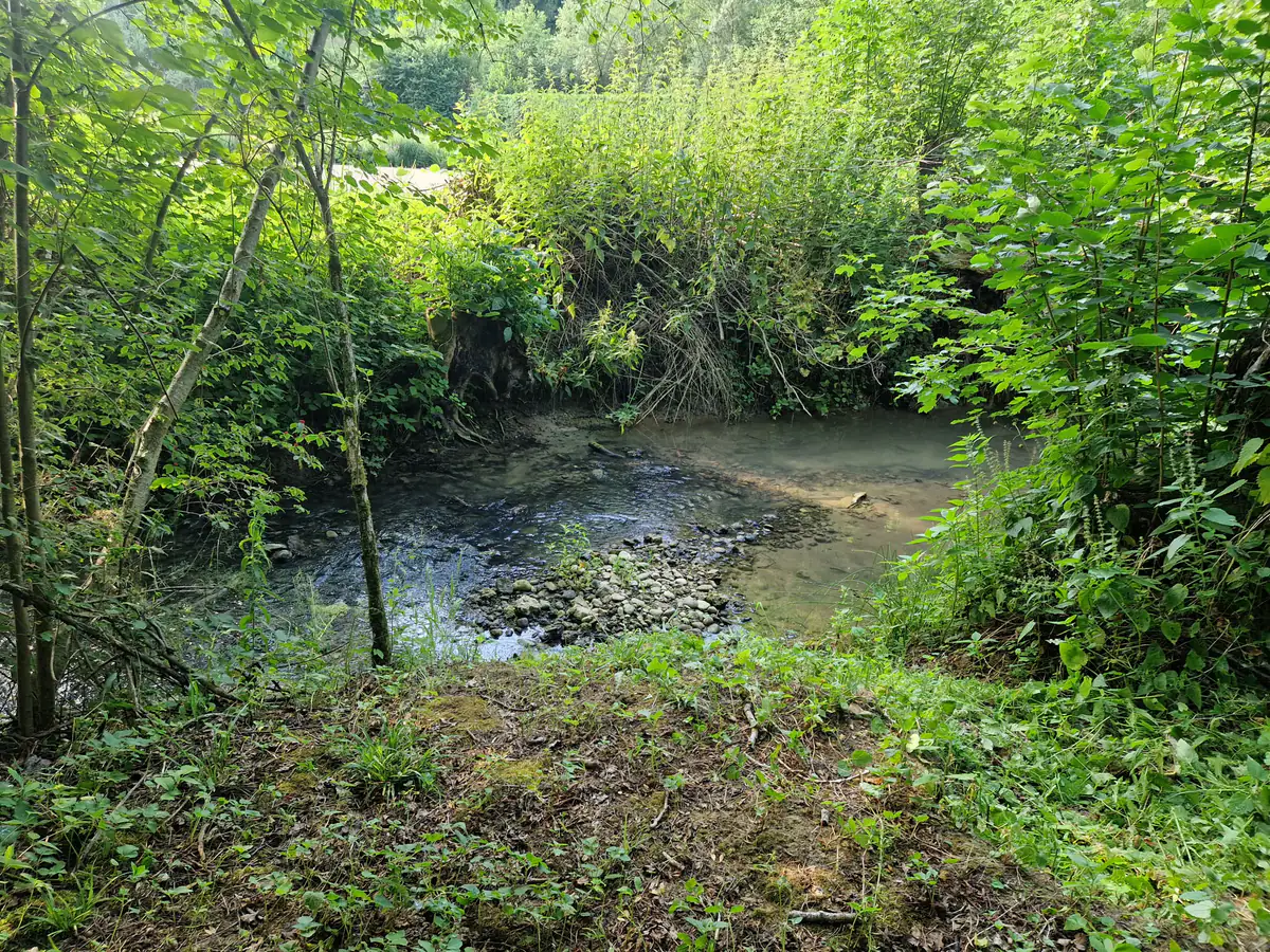 Bachlauf mit Flachwasser und Kiesbank an der Wasserstelle am Dogrelation Hundeplatz Steyr-Wolfern
