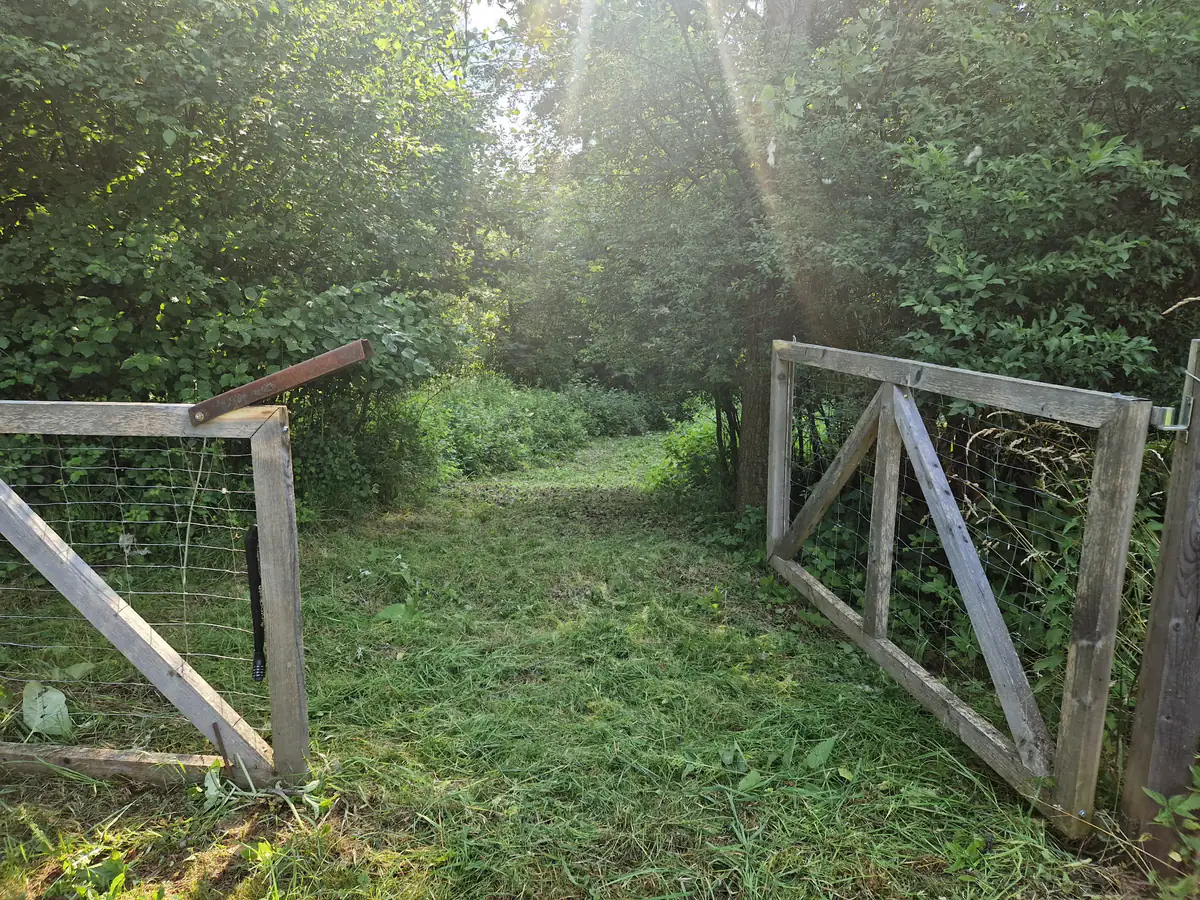 Naturbelassener Zugang durch ein Holztor zur Wasserstelle am Dogrelation Hundeplatz in Steyr-Wolfern